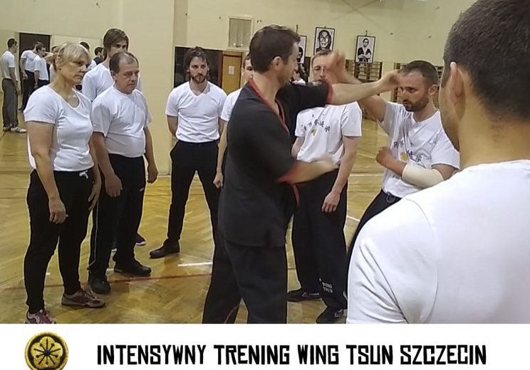 wing tsun to co02 wi01cej ni04 sztuka walki.