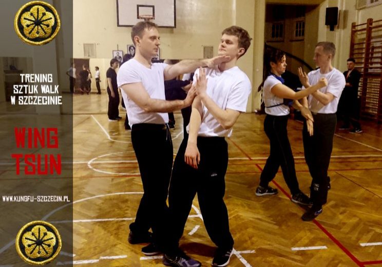 wing tsun to co02 wi01cej ni04 sztuka walki.